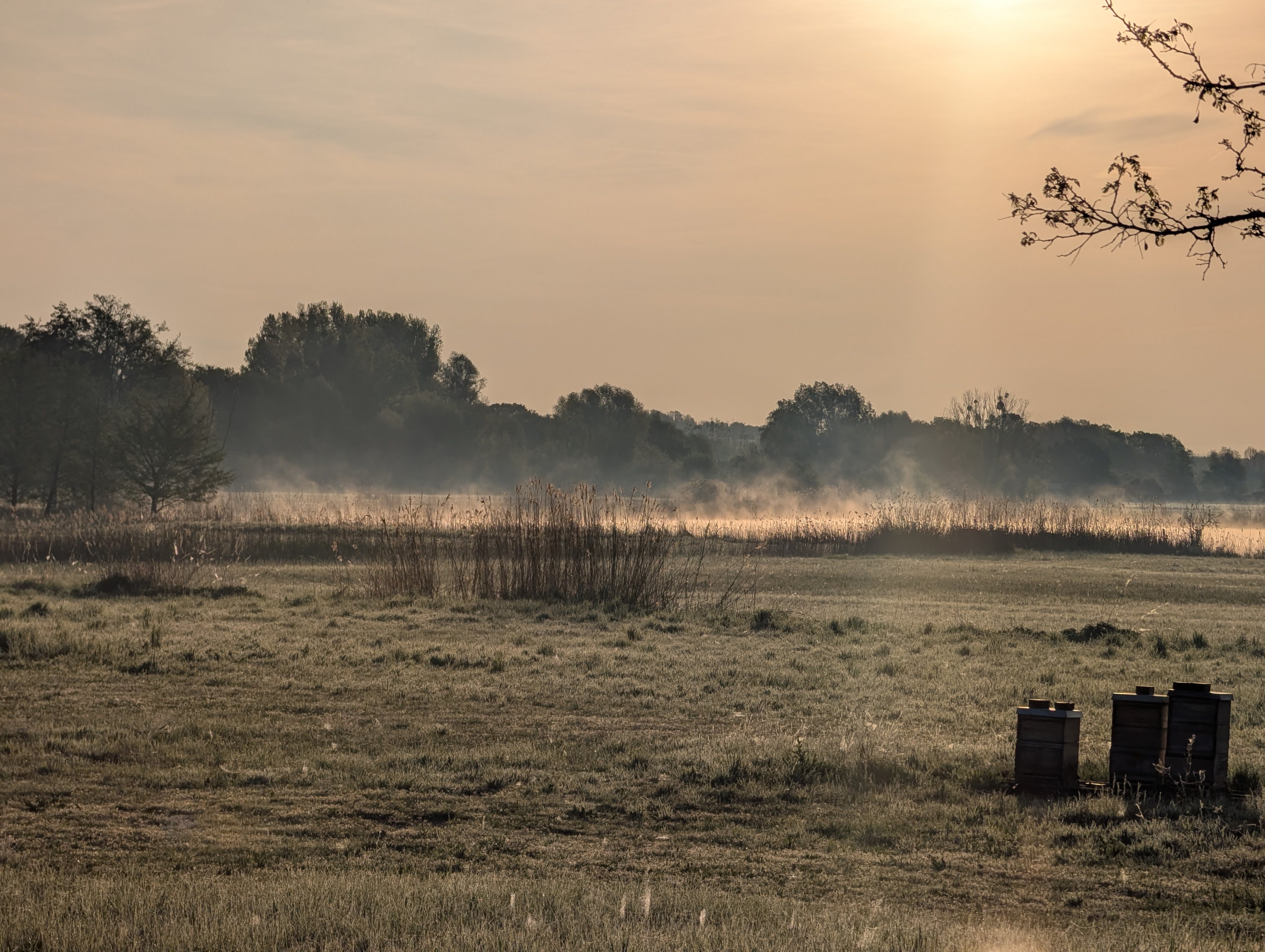 Nebel über den Erdelöchern